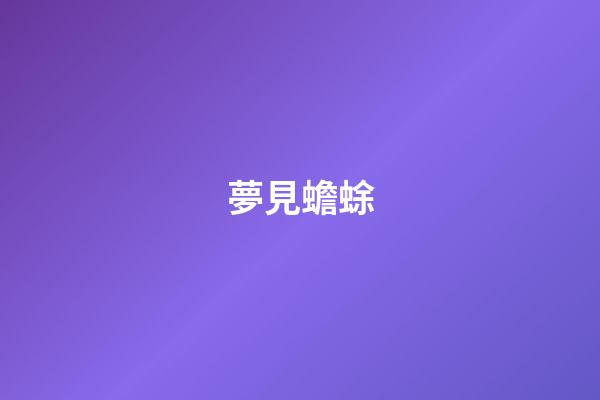 夢見蟾蜍
