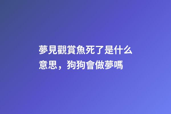 夢見觀賞魚死了是什么意思，狗狗會做夢嗎-第1張-觀點-玄機派