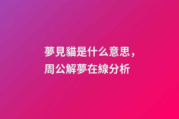 夢見貓是什么意思，周公解夢在線分析