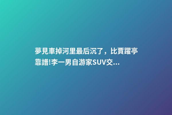 夢見車掉河里最后沉了，比賈躍亭靠譜!李一男自游家SUV交付失敗退款+補(bǔ)償-第1張-觀點(diǎn)-玄機(jī)派