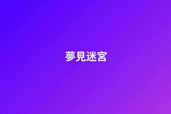 夢見迷宮