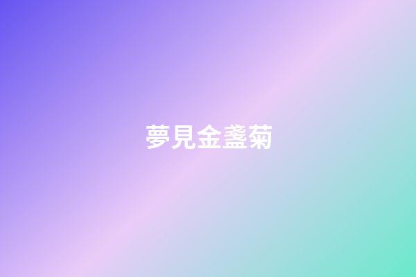 夢見金盞菊