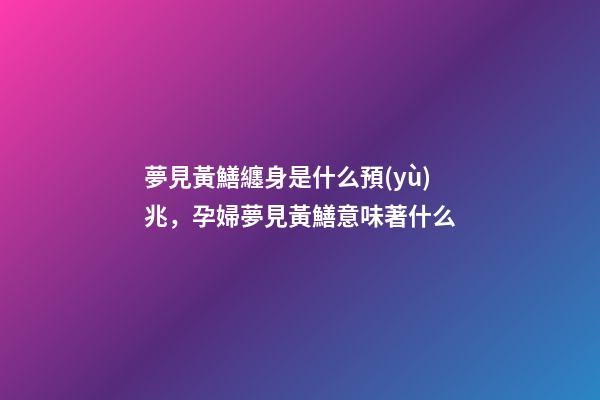 夢見黃鱔纏身是什么預(yù)兆，孕婦夢見黃鱔意味著什么