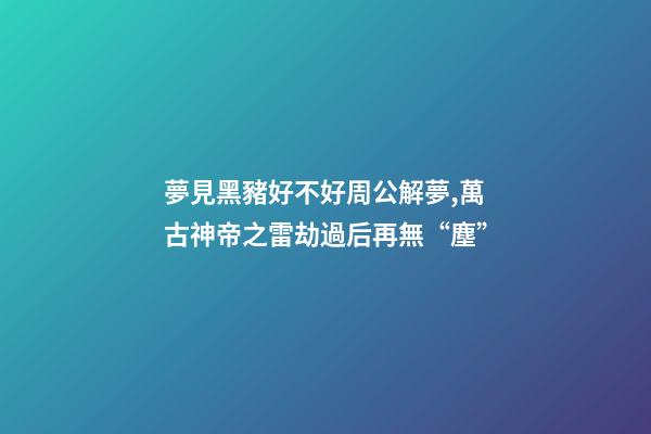 夢見黑豬好不好周公解夢,萬古神帝之雷劫過后再無“塵”-第1張-觀點-玄機派
