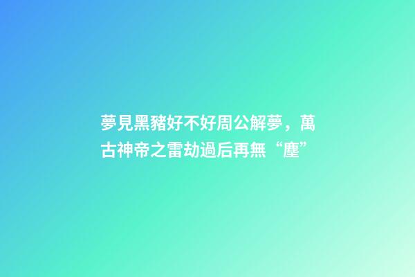 夢見黑豬好不好周公解夢，萬古神帝之雷劫過后再無“塵”-第1張-觀點-玄機派