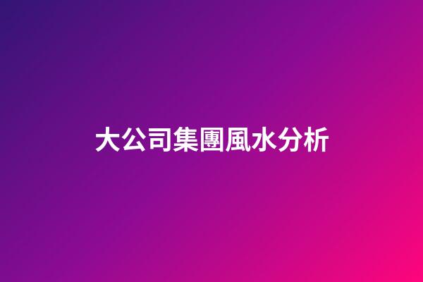 大公司集團風水分析