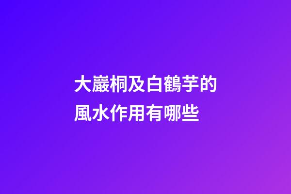 大巖桐及白鶴芋的風水作用有哪些?