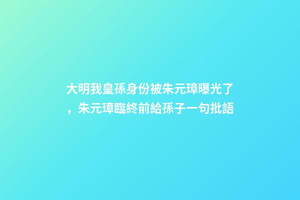 大明我皇孫身份被朱元璋曝光了，朱元璋臨終前給孫子一句批語-第1張-觀點-玄機派