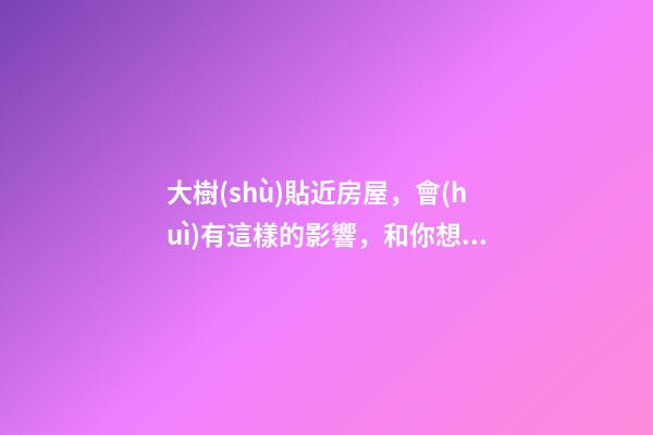 大樹(shù)貼近房屋，會(huì)有這樣的影響，和你想的一樣？