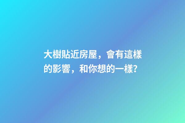 大樹貼近房屋，會有這樣的影響，和你想的一樣？