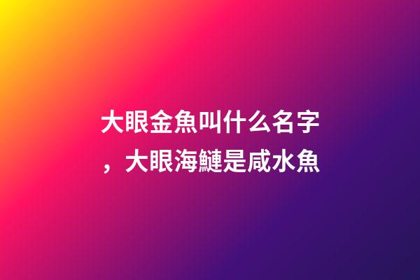 大眼金魚叫什么名字，大眼海鰱是咸水魚-第1張-觀點-玄機派