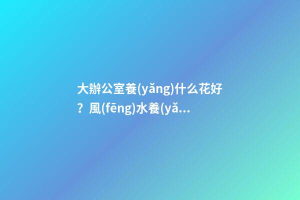 大辦公室養(yǎng)什么花好？風(fēng)水養(yǎng)人聚財(cái)