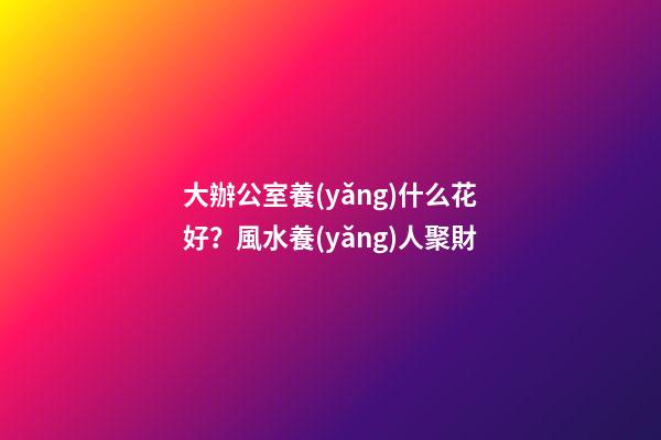 大辦公室養(yǎng)什么花好？風水養(yǎng)人聚財
