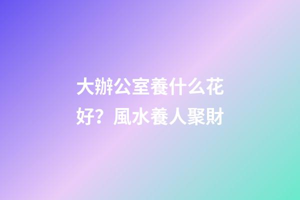 大辦公室養什么花好？風水養人聚財