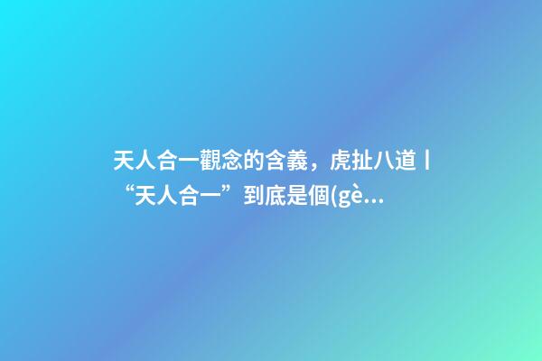 天人合一觀念的含義，虎扯八道丨“天人合一”到底是個(gè)什么操作!-第1張-觀點(diǎn)-玄機(jī)派