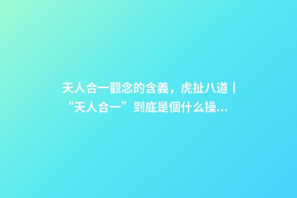 天人合一觀念的含義，虎扯八道丨“天人合一”到底是個什么操作!-第1張-觀點-玄機派