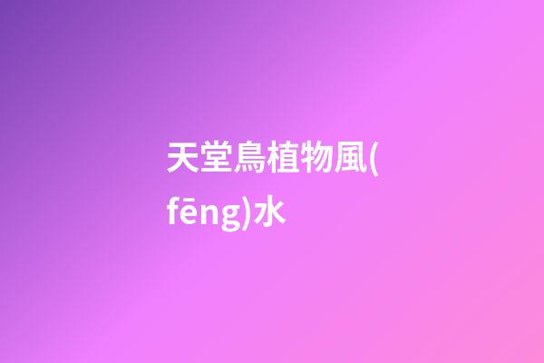 天堂鳥植物風(fēng)水