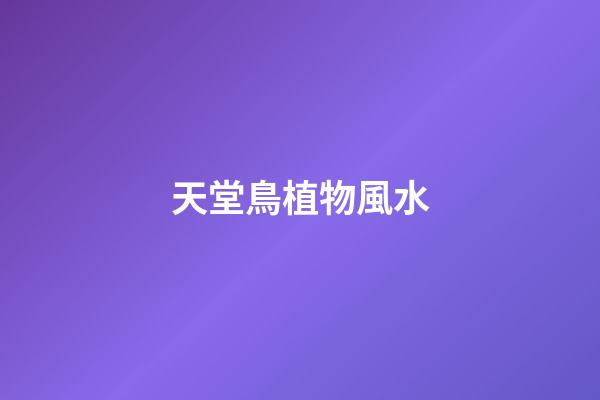 天堂鳥植物風水