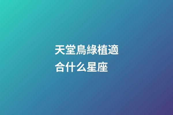 天堂鳥綠植適合什么星座-第1張-星座運勢-玄機派