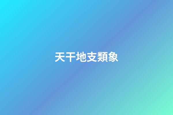 天干地支類象