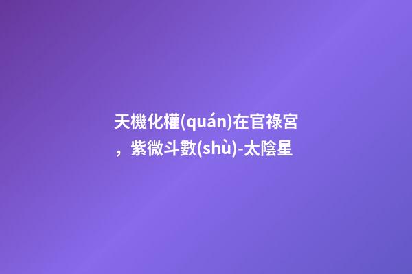 天機化權(quán)在官祿宮，紫微斗數(shù)-太陰星-第1張-觀點-玄機派
