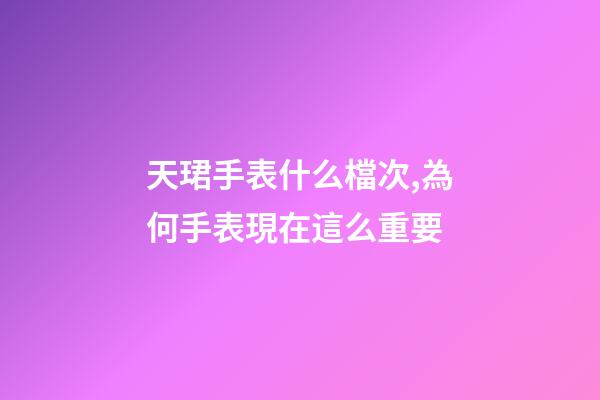 天珺手表什么檔次,為何手表現在這么重要-第1張-觀點-玄機派