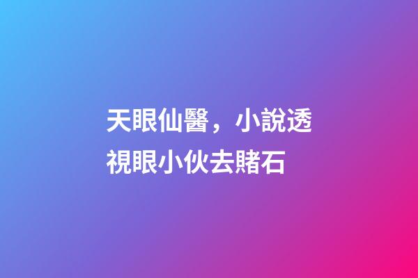 天眼仙醫，小說透視眼小伙去賭石-第1張-觀點-玄機派