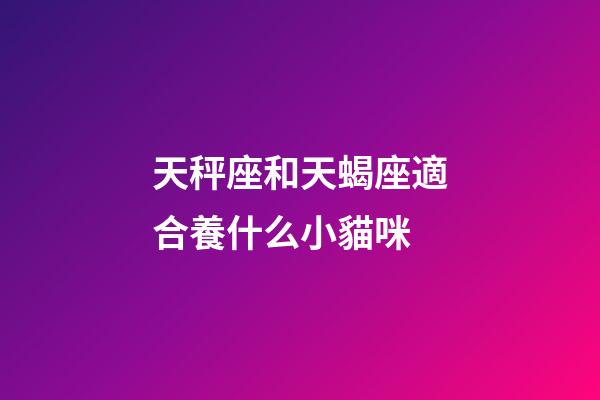 天秤座和天蝎座適合養什么小貓咪