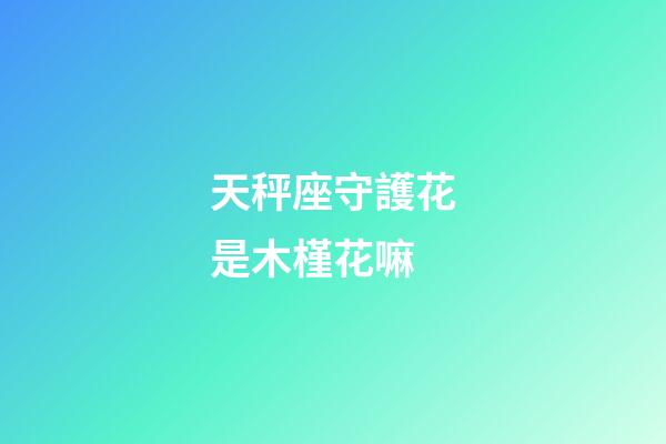 天秤座守護花是木槿花嘛-第1張-星座運勢-玄機派