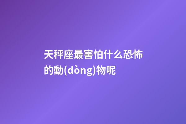 天秤座最害怕什么恐怖的動(dòng)物呢-第1張-星座運(yùn)勢(shì)-玄機(jī)派