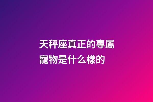 天秤座真正的專屬寵物是什么樣的