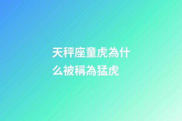 天秤座童虎為什么被稱為猛虎