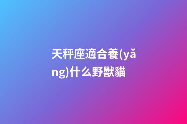 天秤座適合養(yǎng)什么野獸貓-第1張-星座運(yùn)勢-玄機(jī)派