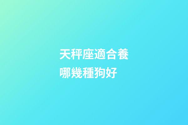 天秤座適合養哪幾種狗好-第1張-星座運勢-玄機派