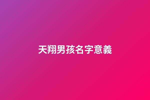 天翔男孩名字意義(天翔這個名字好嗎)-第1張-男孩起名-玄機派