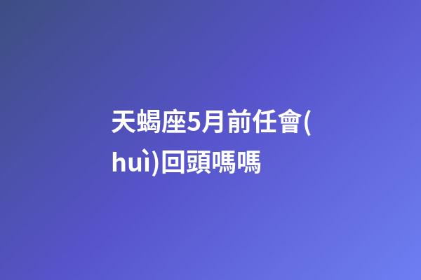 天蝎座5月前任會(huì)回頭嗎嗎-第1張-星座運(yùn)勢(shì)-玄機(jī)派