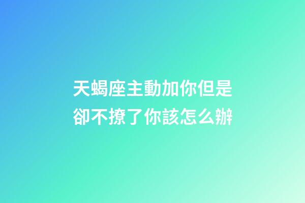 天蝎座主動加你但是卻不撩了你該怎么辦