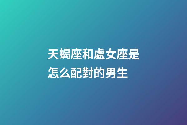 天蝎座和處女座是怎么配對的男生-第1張-星座運勢-玄機派