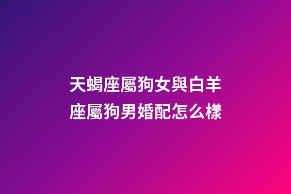 天蝎座屬狗女與白羊座屬狗男婚配怎么樣-第1張-星座運勢-玄機派