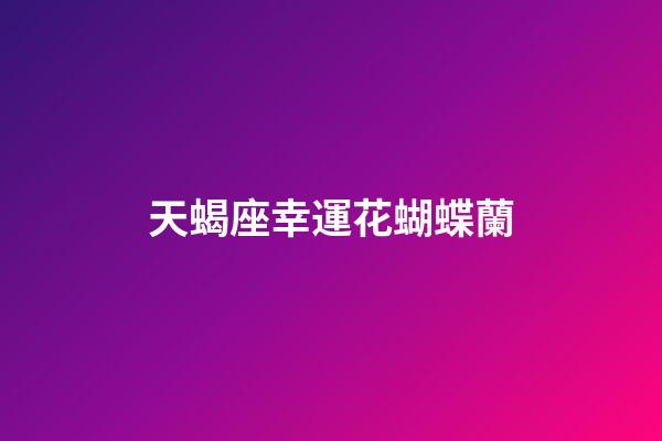 天蝎座幸運花蝴蝶蘭