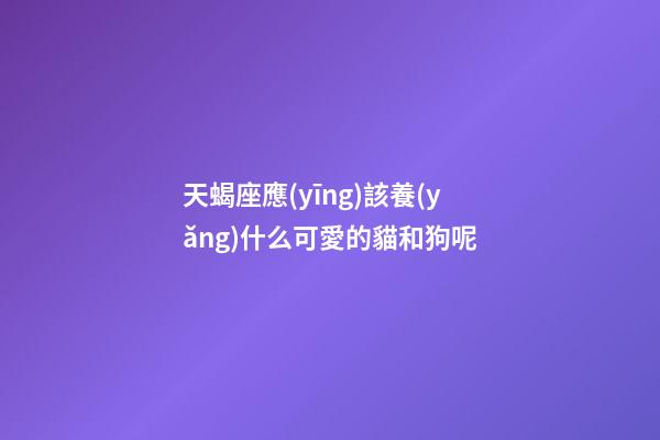 天蝎座應(yīng)該養(yǎng)什么可愛的貓和狗呢-第1張-星座運勢-玄機派