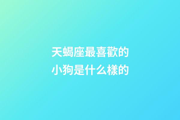 天蝎座最喜歡的小狗是什么樣的-第1張-星座運(yùn)勢(shì)-玄機(jī)派