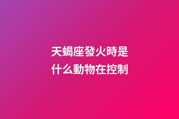 天蝎座發火時是什么動物在控制-第1張-星座運勢-玄機派