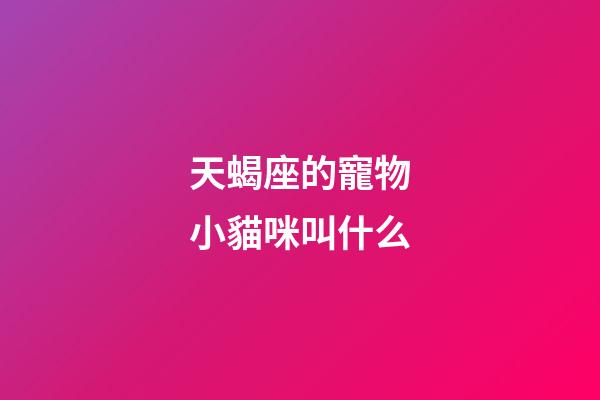 天蝎座的寵物小貓咪叫什么