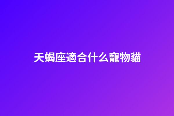天蝎座適合什么寵物貓-第1張-星座運勢-玄機派