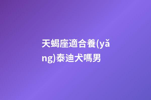 天蝎座適合養(yǎng)泰迪犬嗎男-第1張-星座運(yùn)勢(shì)-玄機(jī)派