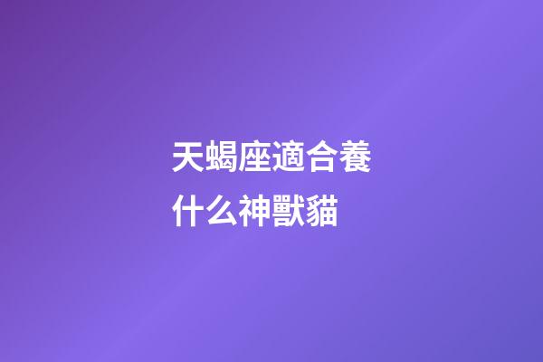 天蝎座適合養什么神獸貓-第1張-星座運勢-玄機派