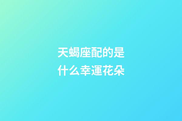 天蝎座配的是什么幸運花朵