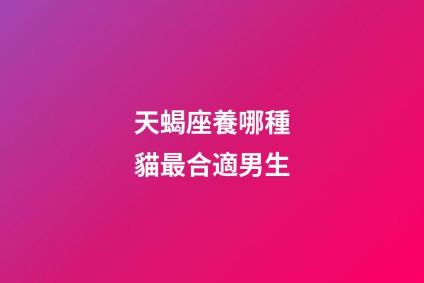 天蝎座養哪種貓最合適男生-第1張-星座運勢-玄機派