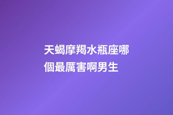 天蝎摩羯水瓶座哪個最厲害啊男生-第1張-星座運勢-玄機派